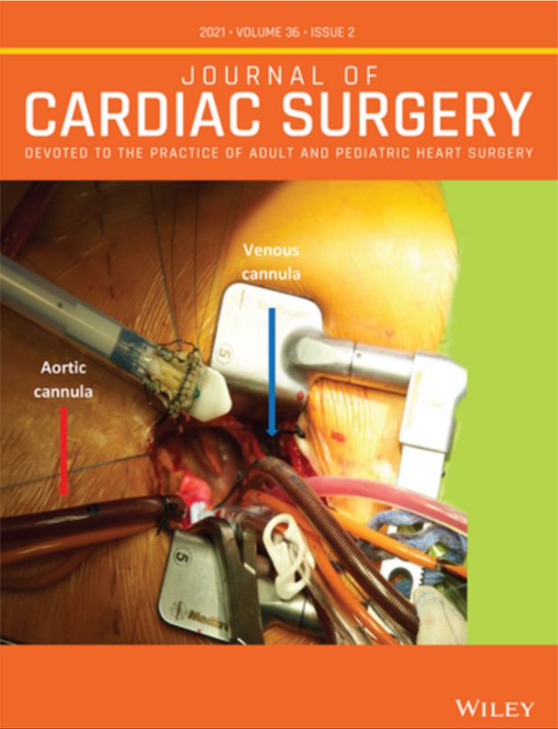 dr. Klokočovnik work on the cover of a peer reviewed journal